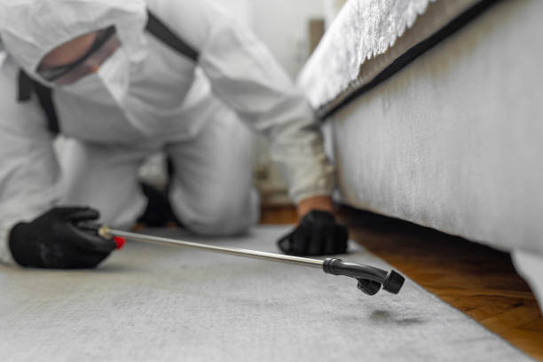 Professional Cockroach Control technician working in Muscogee County County, GA